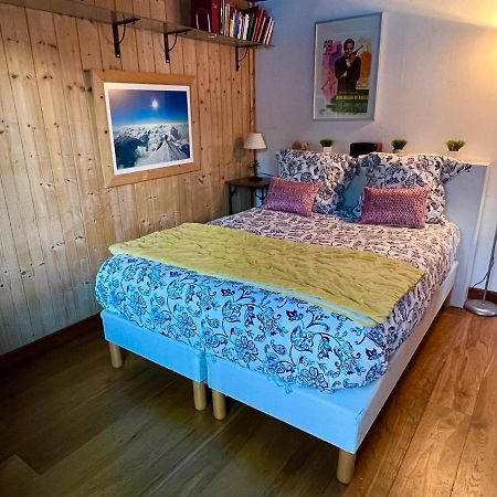 Appartement 2Pieces Hyper Centre Les Houches, Proche Chamonix Dış mekan fotoğraf
